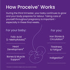 Proceive® Pregnancy Trimester 3